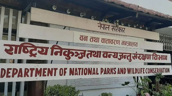 निकुञ्ज विभागमा एक वर्षमा के-के काम भए ?